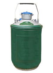 液氮罐YDS-10-80
